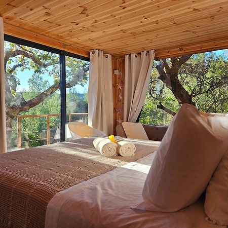 Bed and Breakfast Caban'Ao Saint-Just-et-Vacquières Exterior foto
